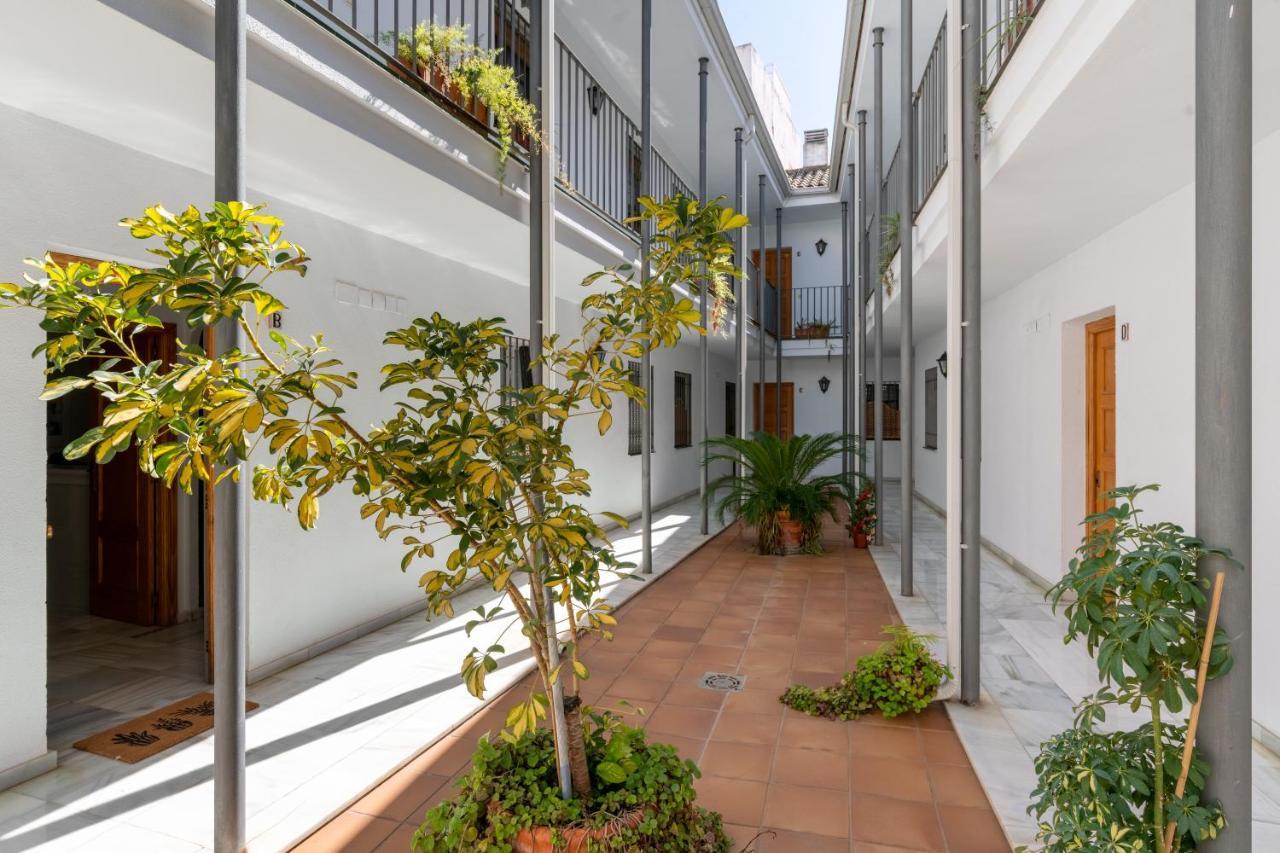 Apartamento Con Garaje, Centro De Sevilla エクステリア 写真